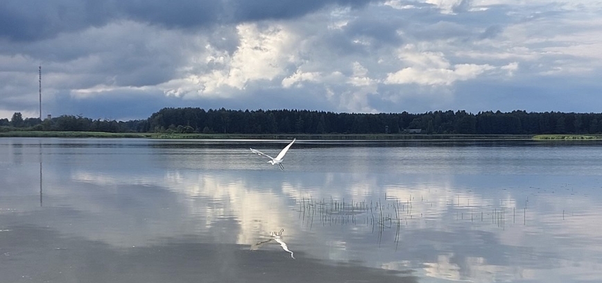 Maudymosi sezono pabaiga