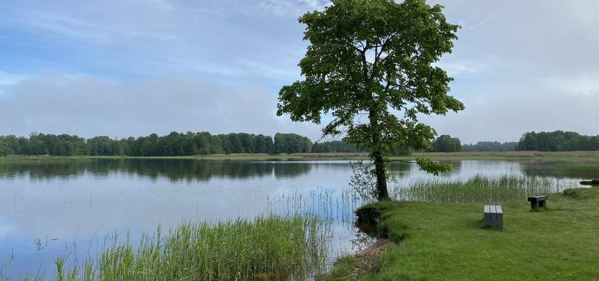 Maudyklų vandens kokybė gera